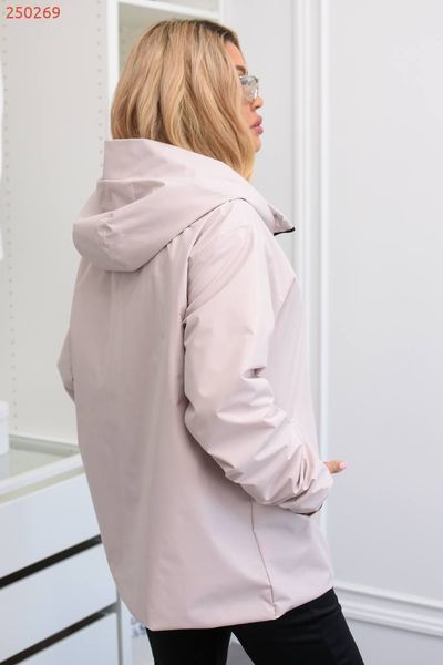 Вітровка 250267 250267 фото